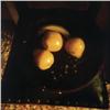 Image 1 : Boaz Tal, Color print, ISRAELI