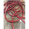Image 1 : LOT OF RED G1074 BREWER'S HOSE