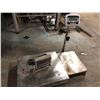Image 1 : 2 SHIPPING SCALES