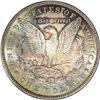 Image 2 : 1896 S$1 Morgan Dollar--Lamination--MS64 ANACS. A thin 
