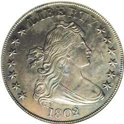 1802/1 S$1 Narrow Date--Cleaned--ANACS. AU58 Details. 