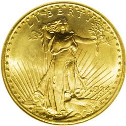 1924 $20 MS66 NGC. It is a shame that type coins of su 