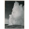 Image 2 : Ansel Adams Typed Letter Signed