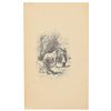 Image 5 : Leo Tolstoy Signed Book