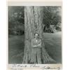 Image 1 : Vladimir Horowitz Signed photo