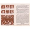 Image 3 : Grateful Dead Program