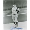 Image 2 : Joe DiMaggio Signed Photographs