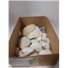 Image 1 : BOX OF SEASHELLS
