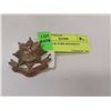 Image 1 : CARLTON & YORK REGIMENT BADGE