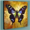 Image 2 : "Pandora" Limited Edition Giclee on Canvas by Simon Bull, Numbered and Signed. This piece comes Gall