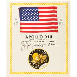 Apollo 13 Flown Flag