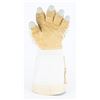 Image 1 : Space Shuttle 1000 Series EVA Glove TMG