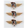Image 1 : Soviet Cosmonaut Wings