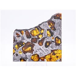 Fukang Pallasite Meteorite Slice