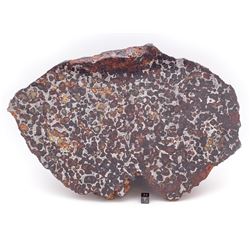 Sericho Meteorite