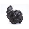 Image 1 : "The Algerian Iron" Meteorite