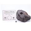 Image 2 : Jiddat Al Harasis Stone Meteorite