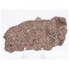 Image 2 : NWA 1227 Stone Meteorite Slice