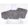 Image 1 : NWA 12269 Martian Meteorite Slice