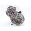 Image 1 : Muonionalusta Iron Meteorite