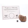 Image 2 : NWA 11081 Eucrite Meteorite End Cut