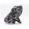 Image 1 : Sikhote-Alin Iron Meteorite