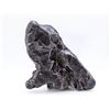 Image 2 : Sikhote-Alin Iron Meteorite