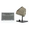 Image 1 : Suizhou Stone Meteorite Fragment