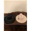 Image 1 : Cowboy Hats