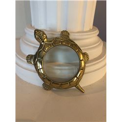 Turtle Magnifying glass