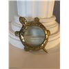 Image 1 : Turtle Magnifying glass
