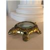 Image 2 : Turtle Magnifying glass