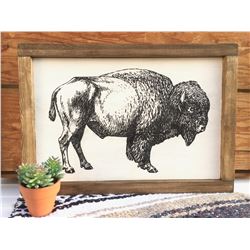 Buffalo Picture