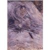 Image 1 : Claude Monet - Camille Monet sur Son Lit de Mort