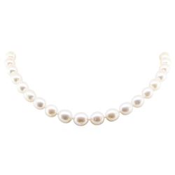 South Sea Pearl Necklace - 14KT White Gold
