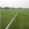 Image 2 : WHEEL LINE SPRINKLER IRRIGATION SYSTEM - SOUTHWEST FIELD (24 WHEELS)