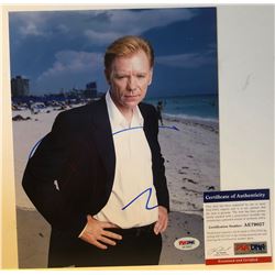 DAVID CARUSO as HORATIO CAINE SIGNED 8X10 PHOTO 'CSI:MIAMI' PSA DNA COA