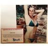 Image 1 : LINDA EVANS SIGNED 8X10 PHOTO 'BIG VALLEY, DYNASTY' COA