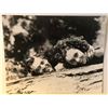 Image 1 : TARZAN UNSIGNED 8X10 PRODUCTION PHOTO