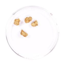 Lot of Gold Nuggets 2.46 Grams Gold Weight