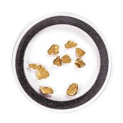 Lot of Gold Nuggets 3.03 grams Total Weight