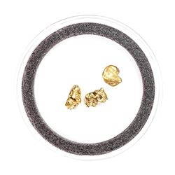 Lot of Gold Nuggets 2.66 grams Total Weight