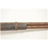 Image 8 : Winchester Model 1873 lever action saddle  ring carbine, .44 WCF caliber, Serial #NSNV.   The carbin