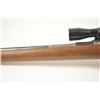 Image 16 : Sporterized Argentine Mauser Model 1891,  #G4842, 7.65 cal., 22” barrel, sights have  been removed, 