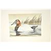 Image 10 : Huge lot of 32 numbered waterfowl stamp  prints by famous artists including David  Maas, Tom Hirata,