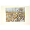 Image 13 : Huge lot of 32 numbered waterfowl stamp  prints by famous artists including David  Maas, Tom Hirata,
