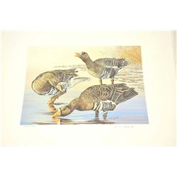 Huge lot of 32 numbered waterfowl stamp prints by famous artists including David Maas, Tom Hirata,