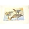 Image 1 : Huge lot of 32 numbered waterfowl stamp  prints by famous artists including David  Maas, Tom Hirata,