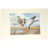 Image 2 : Huge lot of 32 numbered waterfowl stamp  prints by famous artists including David  Maas, Tom Hirata,