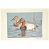 Image 5 : Huge lot of 32 numbered waterfowl stamp  prints by famous artists including David  Maas, Tom Hirata,
